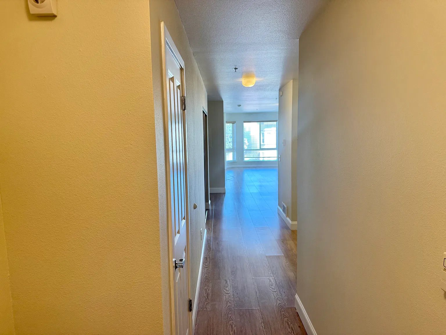 1 bed, 806 sqft, $3,500 — Photo 2