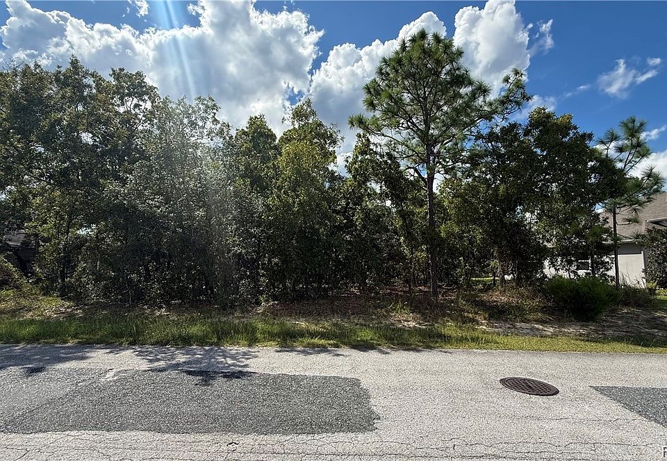 1st image of 41 Lupine St