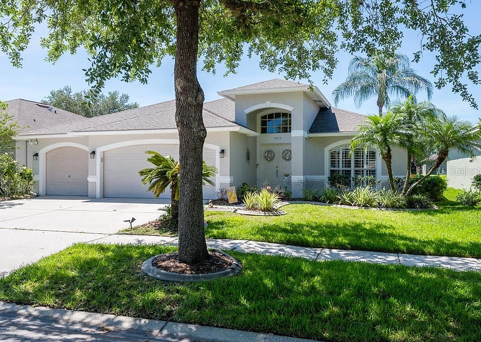 19135 Golden Cacoon Pl Lutz FL 33558 Zillow