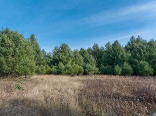 0 E Bellinger Rd, Cedar, MI 49621