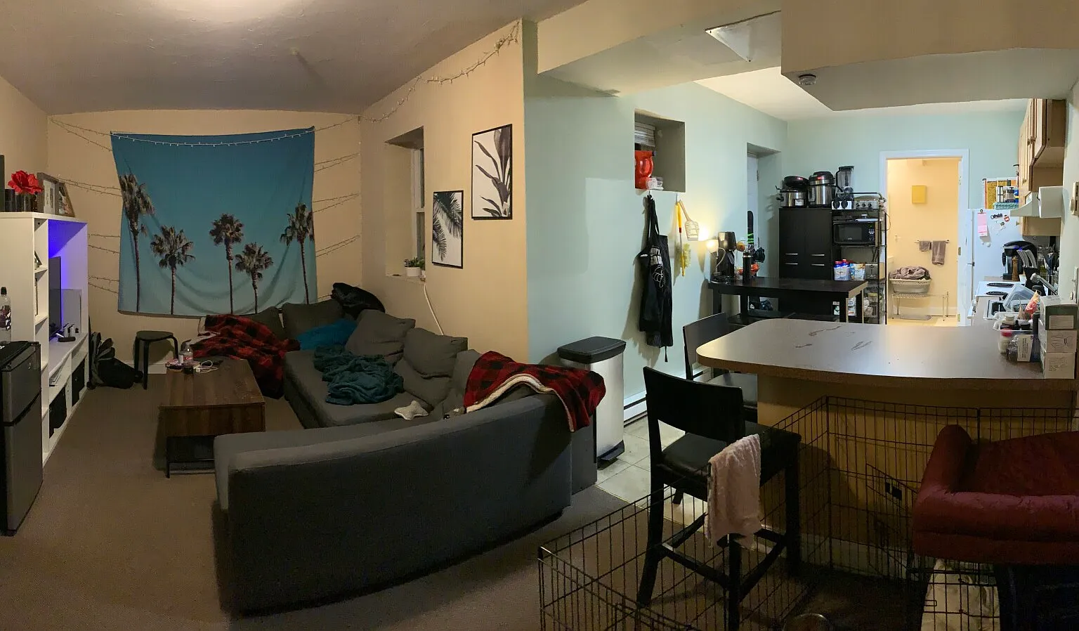 1 bed, 650 sqft, $2,600 — Photo 3