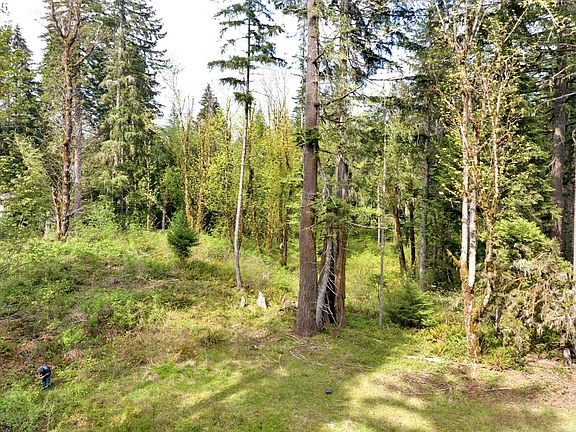 4th image of Boscage Ln