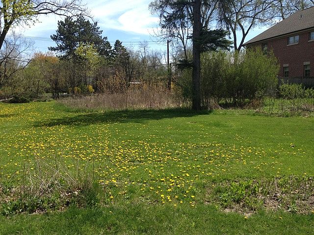 2nd image of 849 Glenview Rd