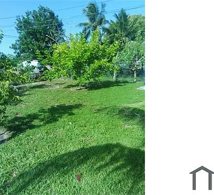 2 bed, $2,250 — Photo 3