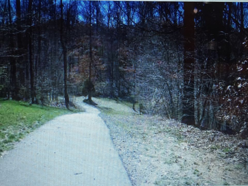 1st image of 9233 Hollybush Ln