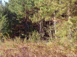 181 Ruffin St, Louisburg, NC 27549