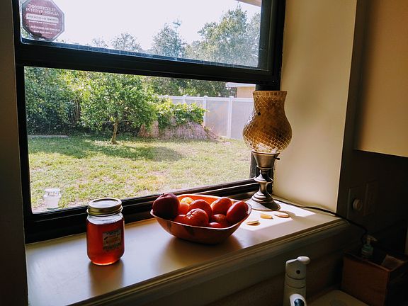 Kitchen window