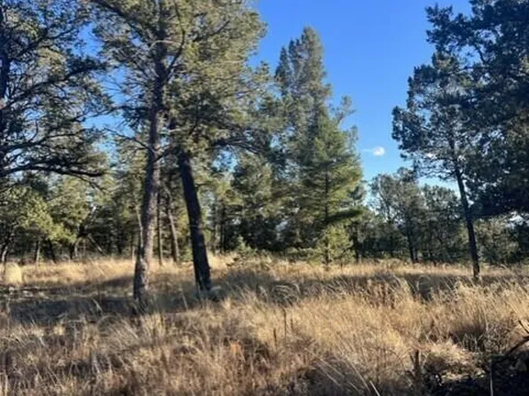 LOT 9 Gavilan Hills Rd, Ruidoso, NM 88345