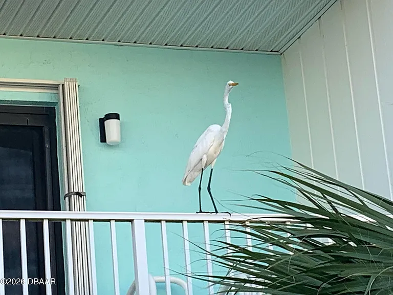 2850 Ocean Shore Blvd #C14 — Photo 20