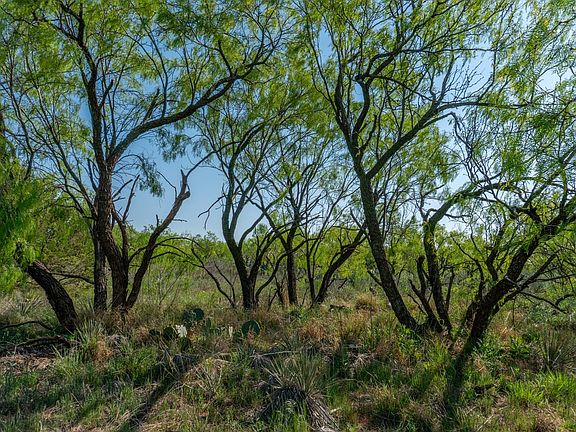 Lot For Sale in Sweetwater with Owner Financing Available