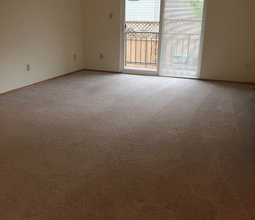 Interior Photo