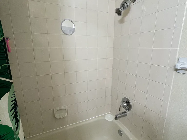 Master Tub Shower_11102022