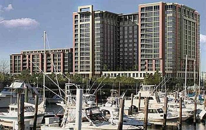 Gulls Cove - building vie