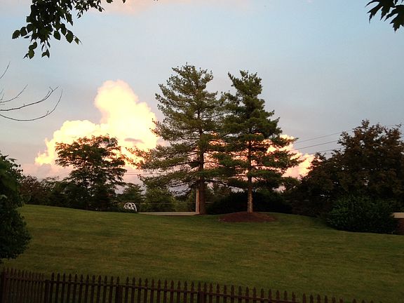 3rd image of 10290 Lakeland Dr