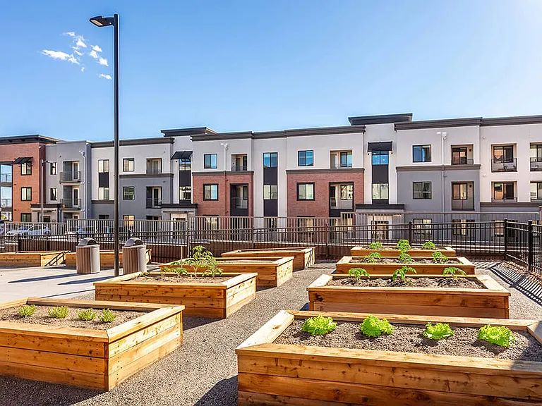Olivean Apartments — Photo 30