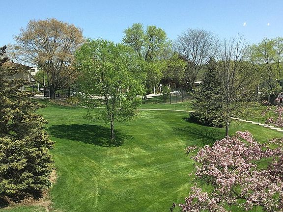 Park setting