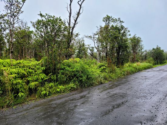Omeka Rd Lot 70, Volcano, HI 96785