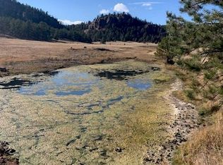 2332 County Road 111, Florissant, CO 80816