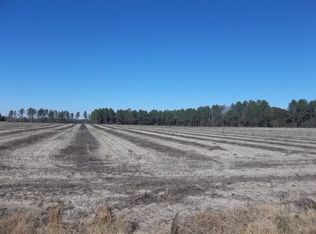 00 Griffin Rd, Vienna, GA 31092
