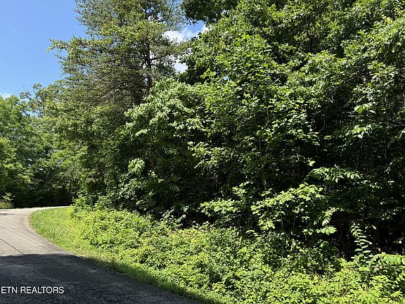 2nd image of 254 Scenic Hill Ln