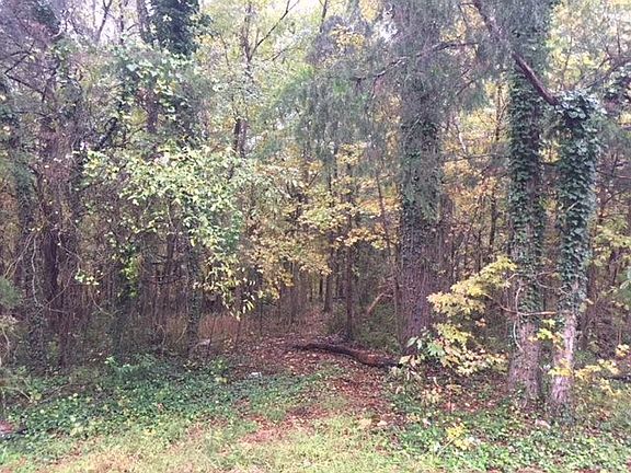 3rd image of LOT 2 Cedar St Lot 2