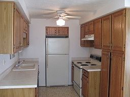 IMG_1496