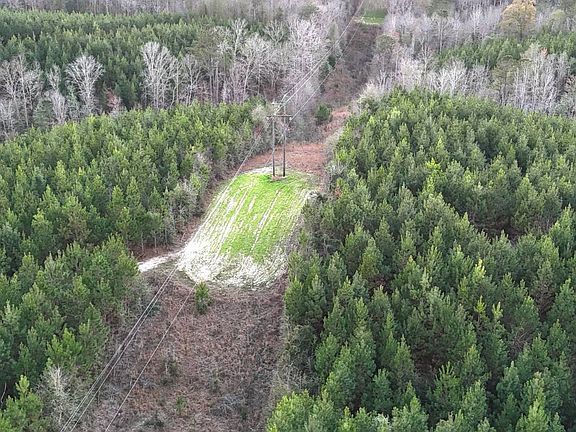 3rd image of 0 Southern Pine Rd