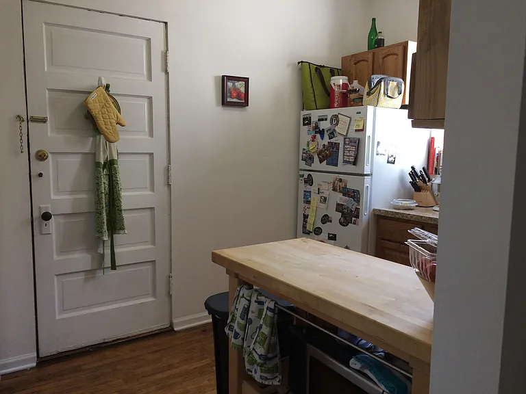 1750 W Belle Plaine Ave #1 — Photo 14