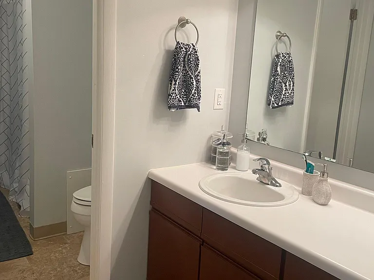 Primary Bedroom Vanity