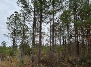 LOT 9 Point Wanita Lake Rd, Chunky, MS 39323