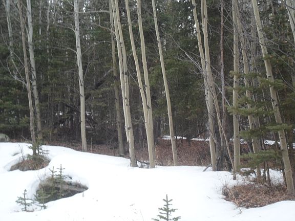 5th image of 1584 Anges Dr