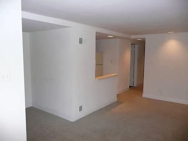 1012 E Capitol St SE #B — Photo 5