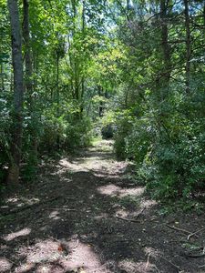 0 Gorge Rd, Buchanan, VA, 24066
