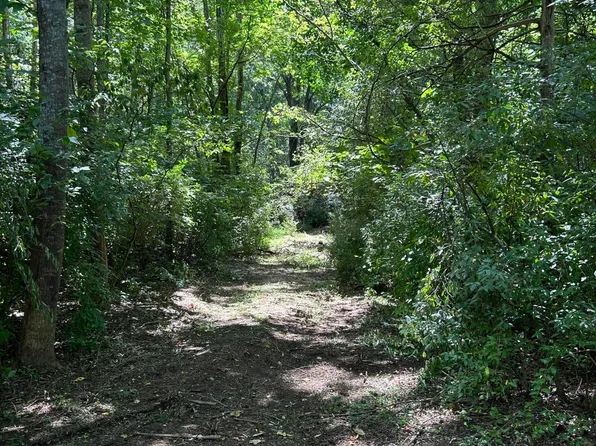 0 Gorge Rd, Buchanan, VA 24066