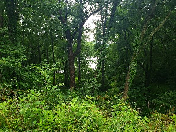 2nd image of Walnut Bend Dr Lot 11