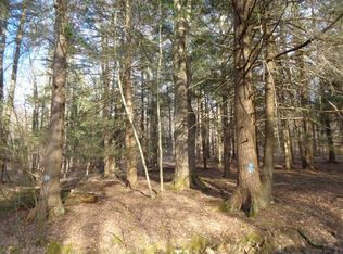 119 Barnes Rd, Windsor, NY 13865