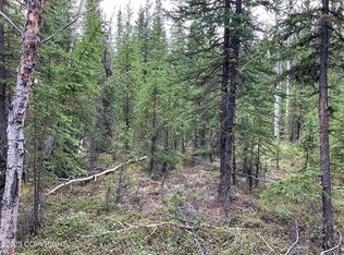 Nhn Orion Tok, Tok, AK 99780