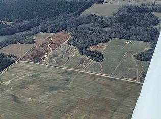 Holt Rd, Hawkinsville, GA 31036