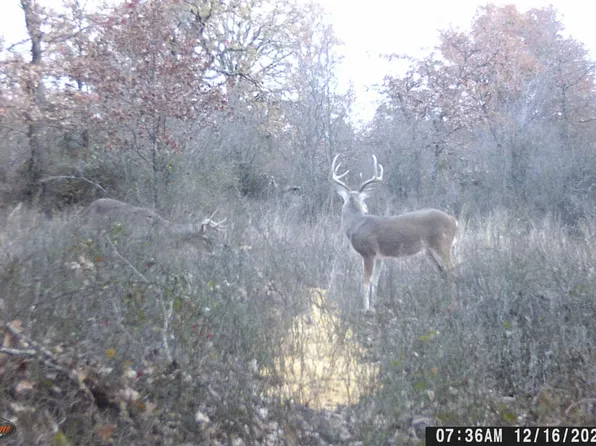 County Road 287, Rising Star, TX 76471