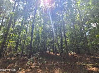 0 Mail Route Rd, Wallace, NC 28466