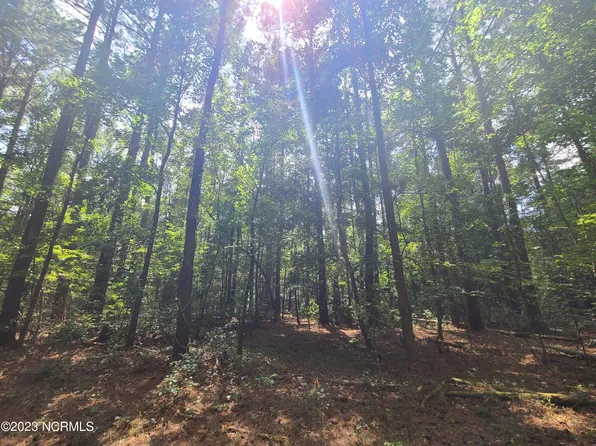 0 Mail Route Road, Wallace, NC 28466