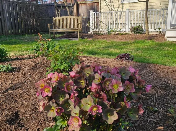 206 Armstrong Ln, Pasadena, MD 21122