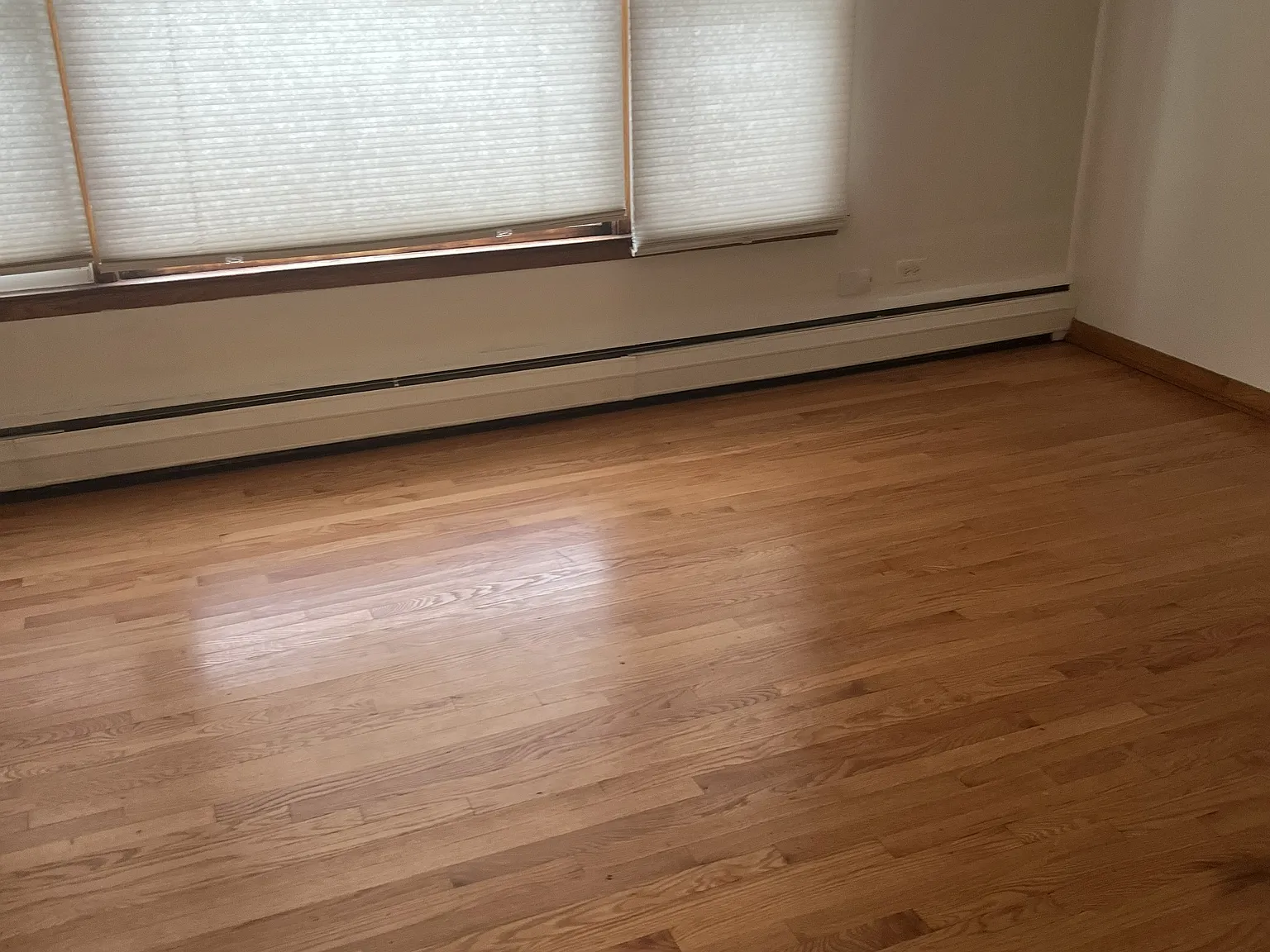 2 bed, 800 sqft, $1,500 — Photo 3