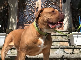 129 W 136th St, New York, NY 10030