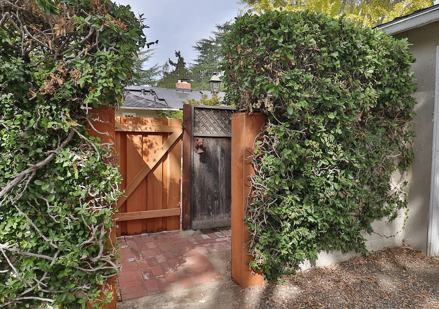 Studio, $3,000 — Photo 2