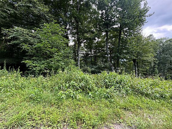 3rd image of 227 Birch Springs Ln
