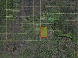 Holopaw Groves Rd, Saint Cloud, FL 34773