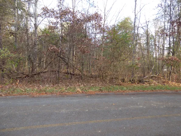 LOT 1022 Cove Ln, White Pine, TN 37890