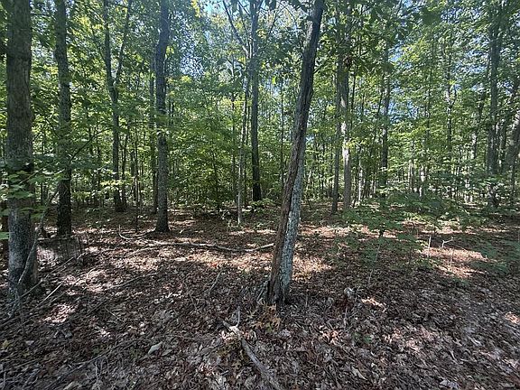 2nd image of Dixie Hill Rd Lot 5