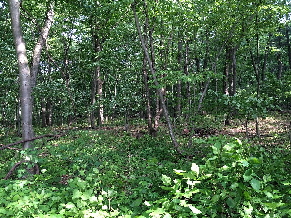 1st image of Clay Hill Road